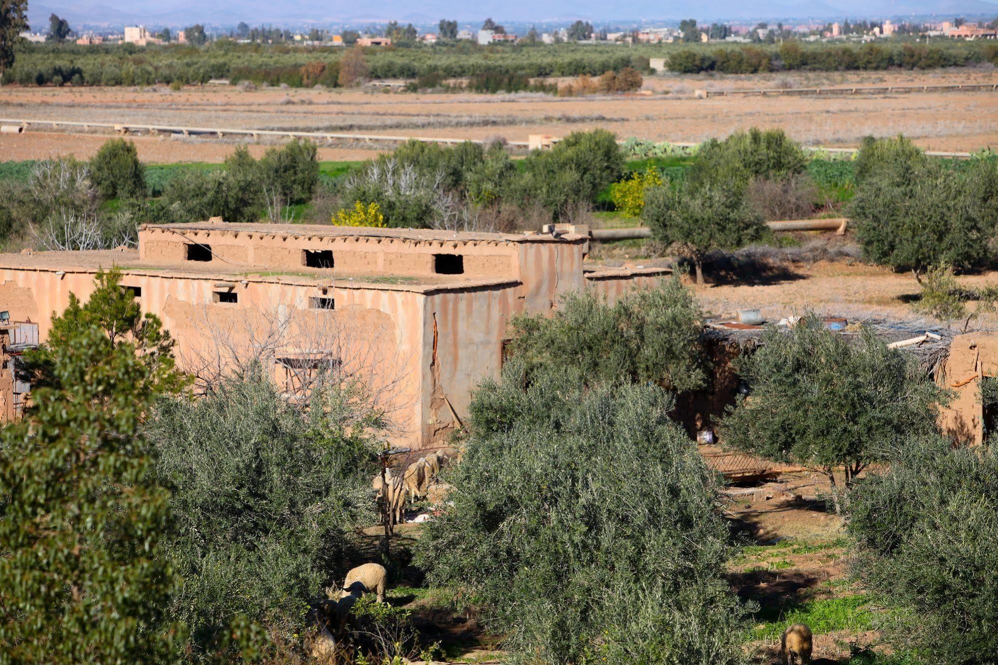 Riad Couleur Sable Sidi Abdallah Ghiat المظهر الخارجي الصورة